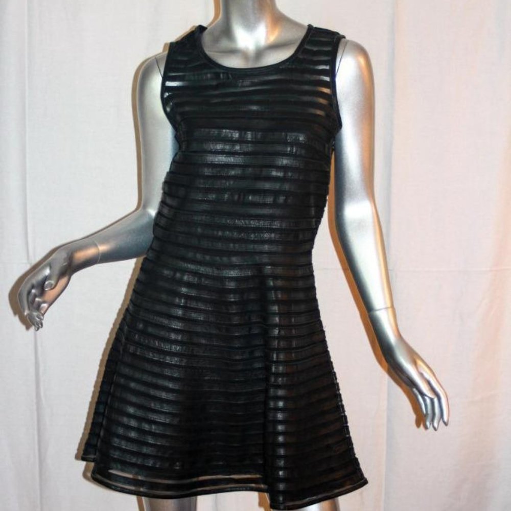 Black Leather Striped Fit & Flare Dress